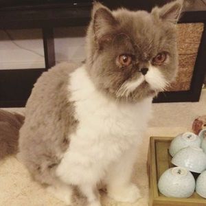 Meet your Posher, Chloe