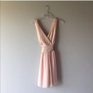 Boutique Blush Short Dress