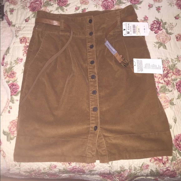 Zara button down skirt