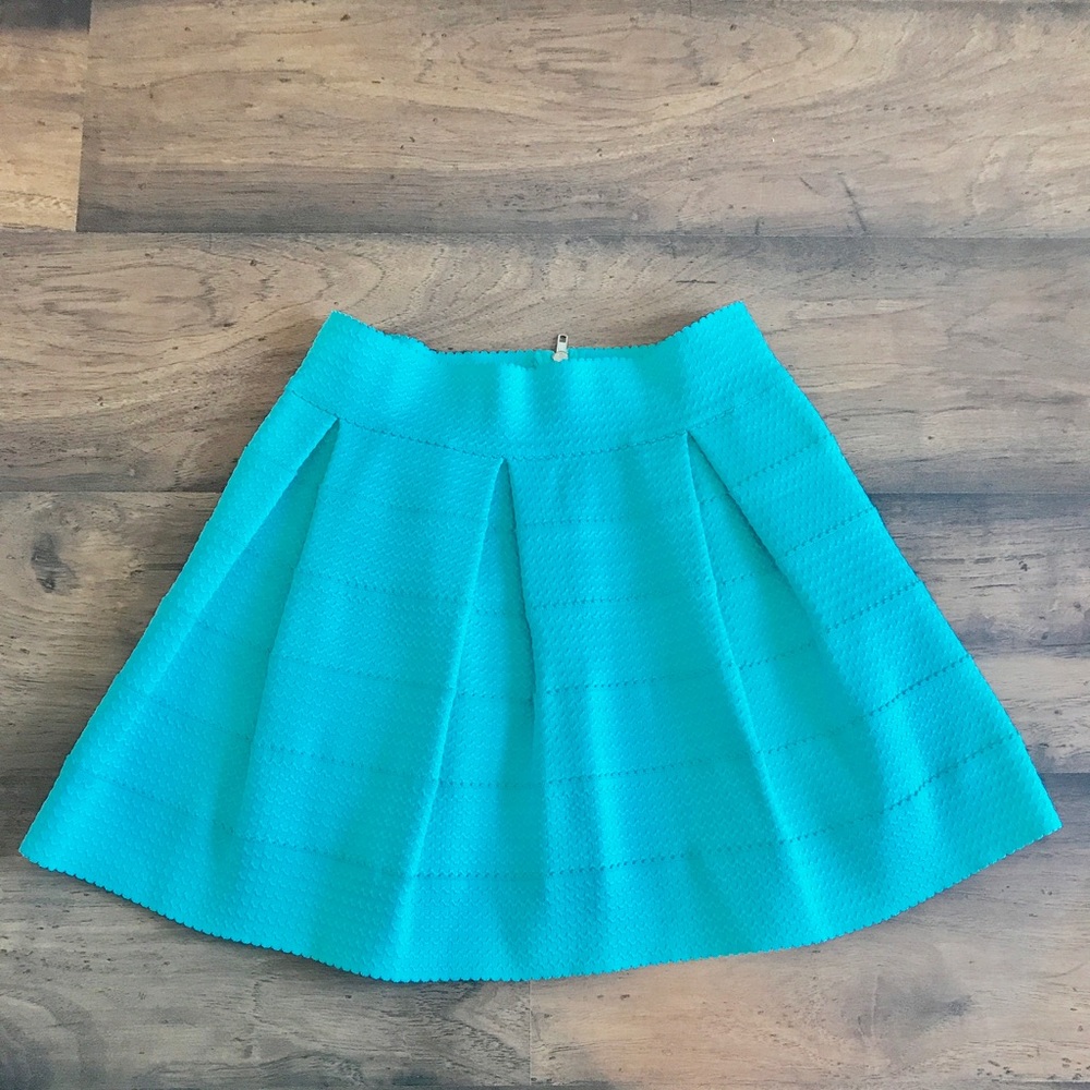 Fit and Flare Skirt