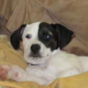 Meet your Posher, Pam