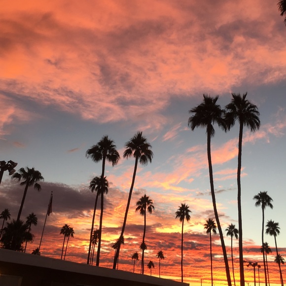 Meet your Posher, Crystal - Picture 2 of 6