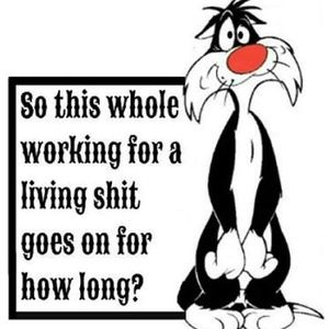 Meet your Posher, Christie