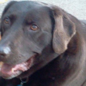 Meet your Posher, Brenda