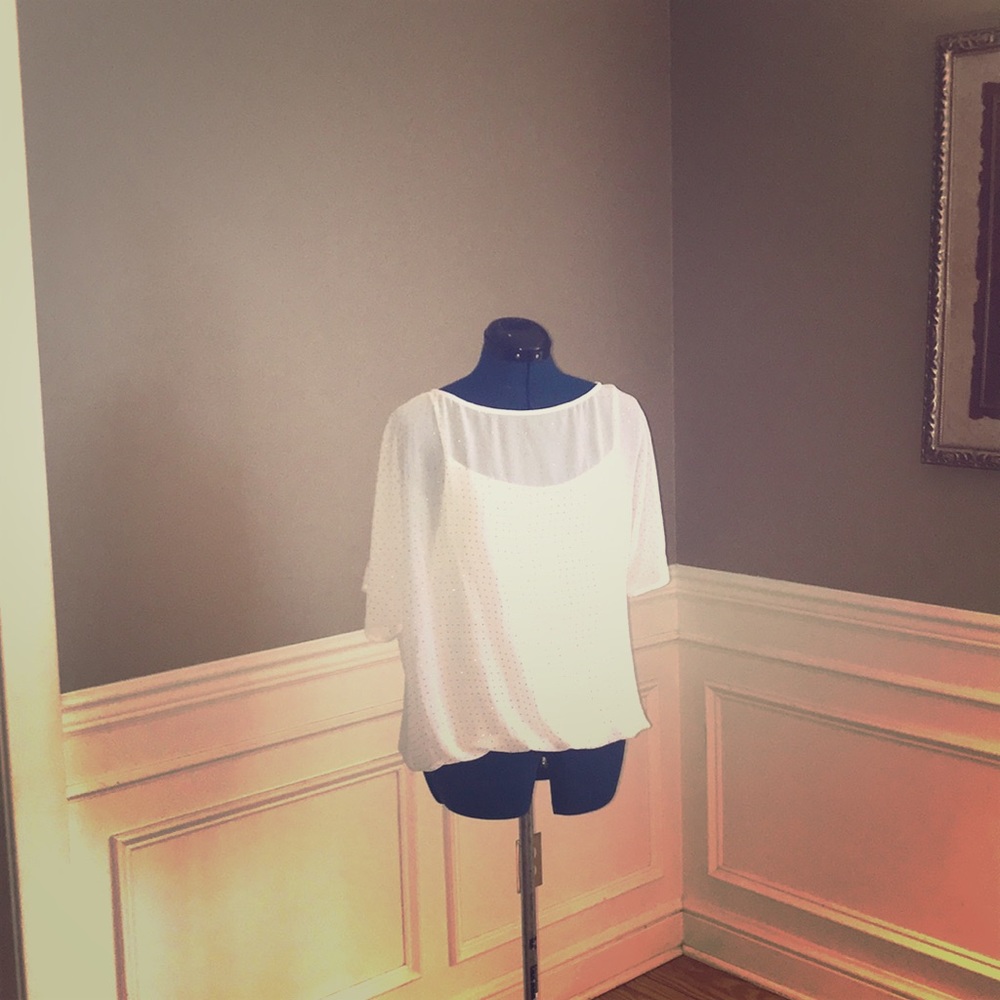 Cashè size large blouse