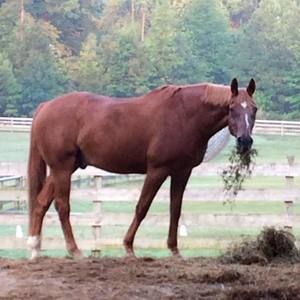 Meet your Posher, Jan