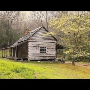 Meet your Posher, Bee