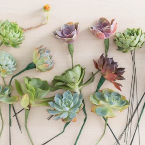 Meet your Posher, Kristi - Picture 2 of 4