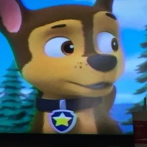 Meet your Posher, Alan