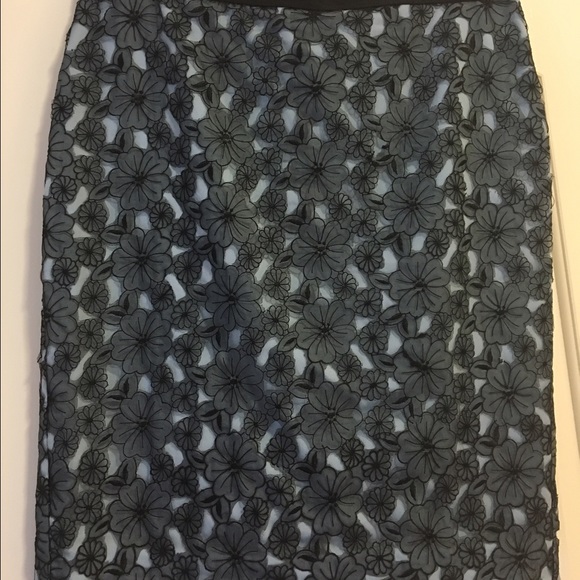 Ann Taylor black lace over dusty blue skirt