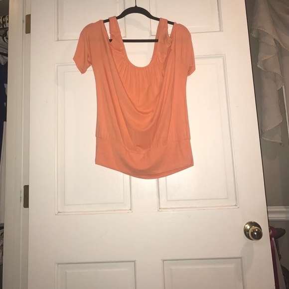 Boston proper size medium