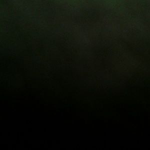 Meet your Posher, Nicholas