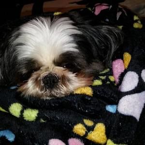 Meet your Posher, Cheryl