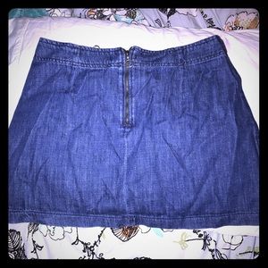 Zara Jean skirt