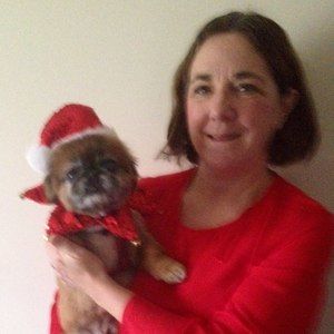 Meet your Posher, Ellen