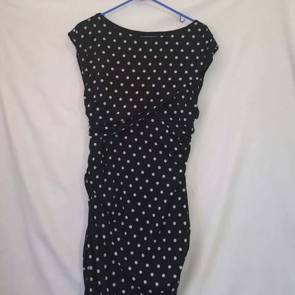 NWOT Ann Taylor polka dot dress