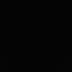 Meet your Posher, Rae