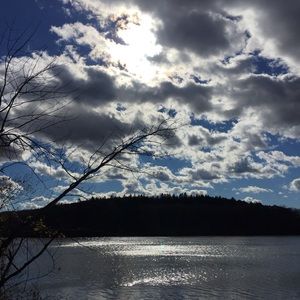 Meet your Posher, Frances