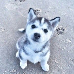 Meet your Posher, Kalena