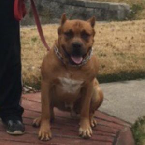 Meet your Posher, Justin