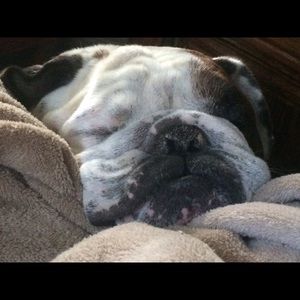 Meet your Posher, Margaret