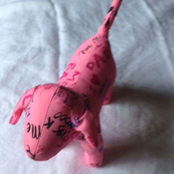 Pink victoria's secret