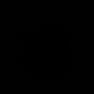 Meet your Posher, Tandra