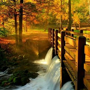 Meet your Posher, Vaughn m.