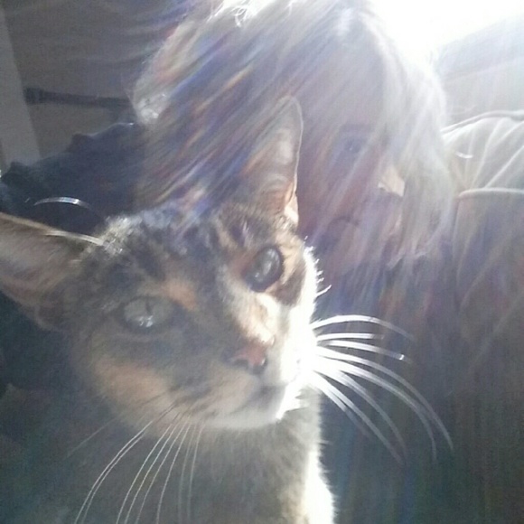 Meet your Posher, Kyli - Picture 2 of 2