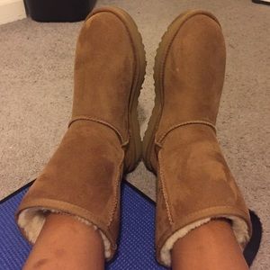 Chestnut UGG Classic 2.0