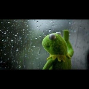 Meet your Posher, Garrett