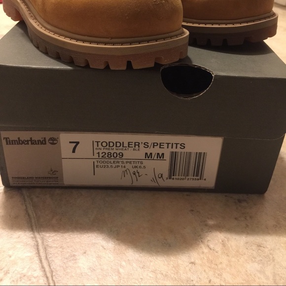 Timberlain boots - Picture 1 of 2