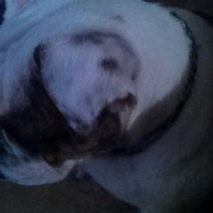 Meet your Posher, Luis