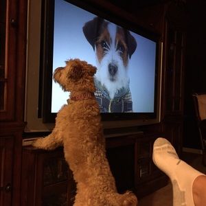 Meet your Posher, Mari