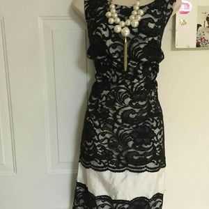Plus Size Dress