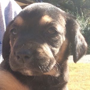 Meet your Posher, Madison