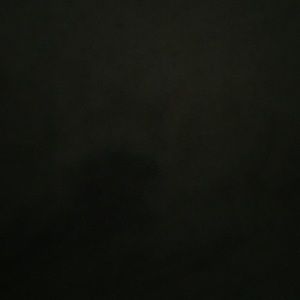 Meet your Posher, Danny