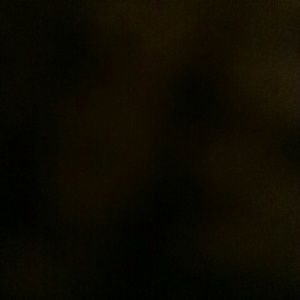 Meet your Posher, Shaun