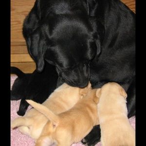 Meet your Posher, Margaret