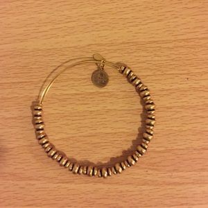 NWOT Alex & Ani bracelet
