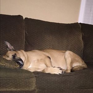 Meet your Posher, Duncan