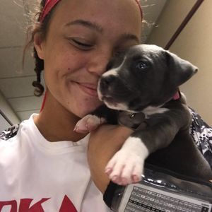 Meet your Posher, Chloe