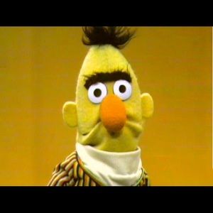 Meet your Posher, Nia