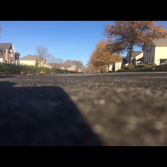 Meet your Posher, Maurice - Picture 1 of 1