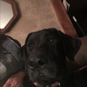 Meet your Posher, Lynn