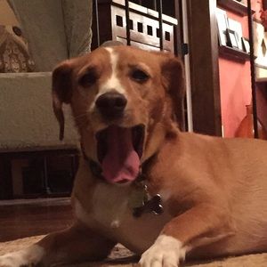 Meet your Posher, Ben