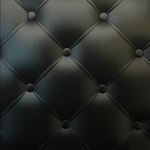 Meet your Posher, Steve