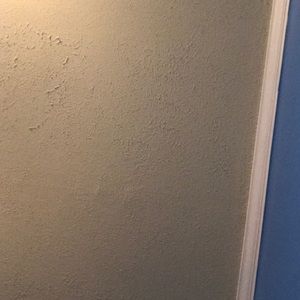 Meet your Posher, Ben