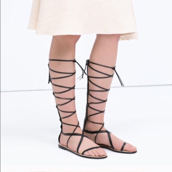 Zara Gladiators