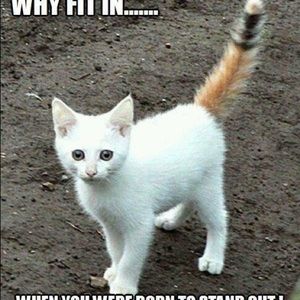 Meet your Posher, Corynne